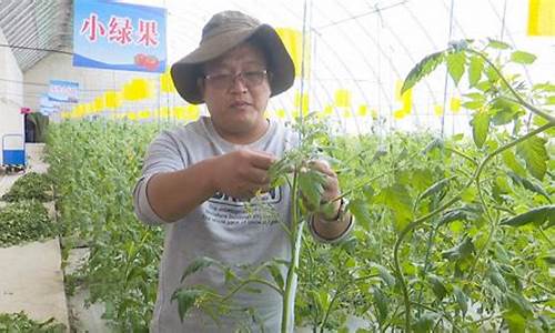 番茄花园系统的实施策略与最佳实践插图