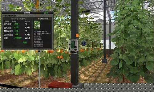 番茄花园系统：未来农业的重要创新(番茄花园是真的吗)插图