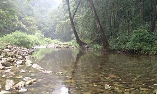 探索雨林木风pe的新功能(雨林木风进入pe怎么装系统)插图