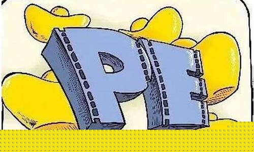PE电脑公司的领导者谁？插图