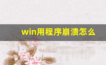 win用程序崩溃怎么处理插图